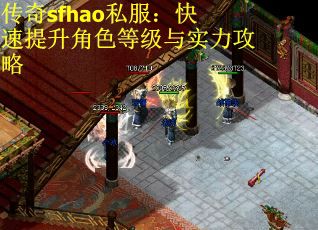 传奇sfhao私服：快速提升角色等级与实力攻略