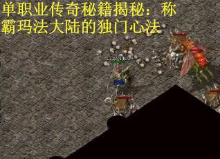 单职业传奇秘籍揭秘：称霸玛法大陆的独门心法