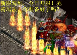新服驾到，今日开服！驰骋玛法，你准备好了吗？