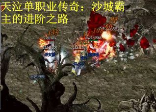 天泣单职业传奇：沙城霸主的进阶之路