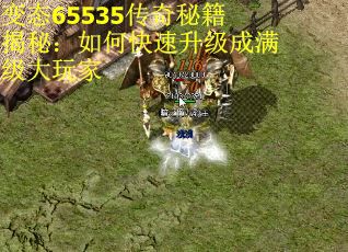 变态65535传奇秘籍揭秘：如何快速升级成满级大玩家