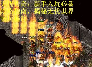 无忧传奇：新手入坑必备攻略指南，揭秘无忧世界畅玩秘籍