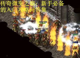 传奇微变之巅：新手必备的入门攻略问答集