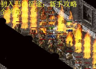 初入玛法征途：新手攻略全解秘