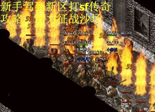 新手驾到新区打sf传奇攻略：助力征战沙场