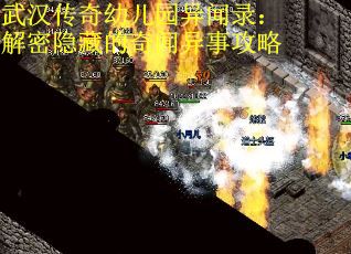 武汉传奇幼儿园异闻录：解密隐藏的奇闻异事攻略