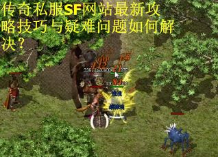 传奇私服SF网站最新攻略技巧与疑难问题如何解决？