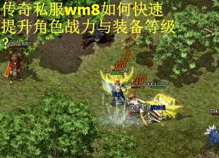 传奇私服wm8如何快速提升角色战力与装备等级？