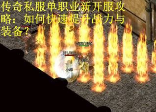 传奇私服单职业新开服攻略：如何快速提升战力与装备？