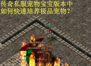 传奇私服宠物宝宝版本中如何快速培养极品宠物？
