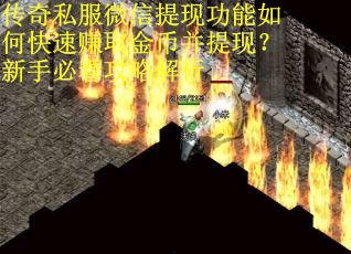 传奇私服微信提现功能如何快速赚取金币并提现？新手必看攻略解析