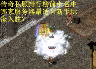 传奇私服排行榜前十名中哪家服务器最适合新手玩家入驻？