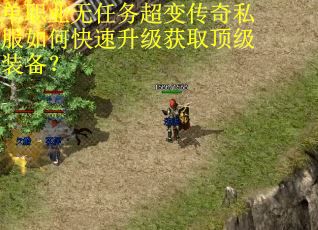 单职业无任务超变传奇私服如何快速升级获取顶级装备？