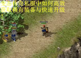 变态传奇私服中如何高效获取稀有装备与快速升级? 变态传奇私服中如何高效获取稀有装备与快速升级?