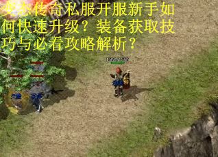 变态传奇私服开服新手如何快速升级?装备获取技巧与必看攻略解析? 变态传奇私服开服新手如何快速升级?装备获取技巧与必看攻略解析?