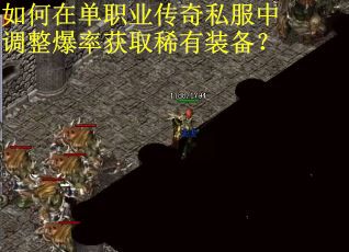 如何在单职业传奇私服中调整爆率获取稀有装备？