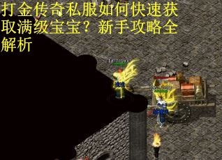 打金传奇私服如何快速获取满级宝宝？新手攻略全解析