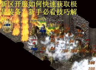 新区开服如何快速获取极品装备？新手必看技巧解析