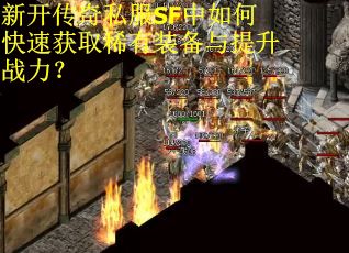 新开传奇私服SF中如何快速获取稀有装备与提升战力？