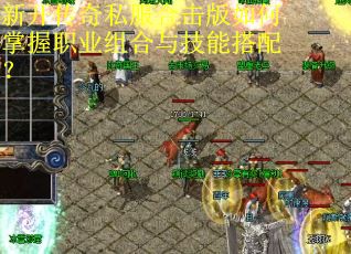 新开传奇私服合击版如何掌握职业组合与技能搭配？