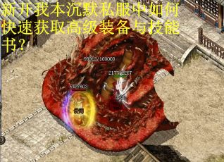 新开我本沉默私服中如何快速获取高级装备与技能书？