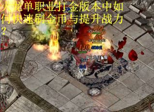 火龙单职业打金版本中如何快速刷金币与提升战力？