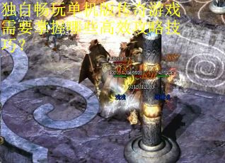 独自畅玩单机版传奇游戏需要掌握哪些高效攻略技巧? 独自畅玩单机版传奇游戏需要掌握哪些高效攻略技巧?