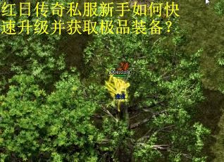 红日传奇私服新手如何快速升级并获取极品装备? 红日传奇私服新手如何快速升级并获取极品装备?