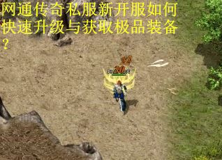网通传奇私服新开服如何快速升级与获取极品装备? 网通传奇私服新开服如何快速升级与获取极品装备?