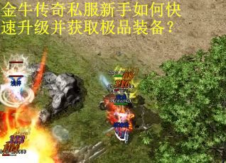 金牛传奇私服新手如何快速升级并获取极品装备？
