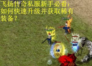 飞扬传奇私服新手必看：如何快速升级并获取稀有装备？