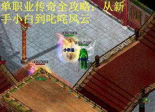 单职业传奇全攻略：从新手小白到叱咤风云