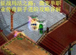 征战玛法之路：微变单职业传奇新手进阶攻略详解