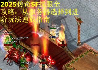 2025传奇SF找服全攻略：从服务器选择到进阶玩法速成指南