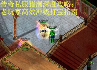 传奇私服猪洞深度攻略：老玩家高效冲级打宝指南