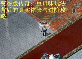 变态版传奇：重口味玩法背后的真实体验与进阶攻略