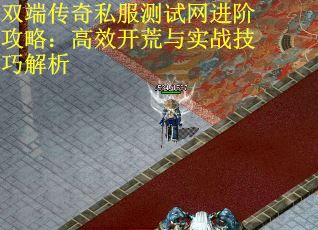 双端传奇私服测试网进阶攻略：高效开荒与实战技巧解析