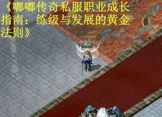 《嘟嘟传奇私服职业成长指南：练级与发展的黄金法则》