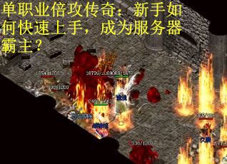 单职业倍攻传奇：新手如何快速上手，成为服务器霸主？