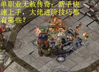 单职业无赦传奇：新手快速上手，大佬进阶技巧都有哪些？