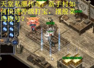 天堂私服传奇：新手村如何快速冲级打宝，摆脱菜鸟称号？