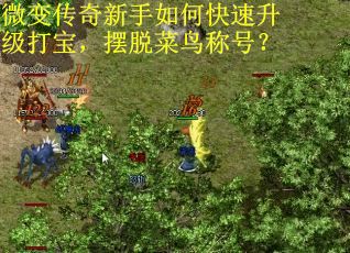 微变传奇新手如何快速升级打宝，摆脱菜鸟称号？