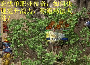 忘忧单职业传奇：如何快速提升战力，称霸玛法大陆？
