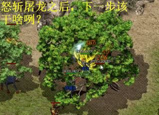 怒斩屠龙之后，下一步该干啥咧？