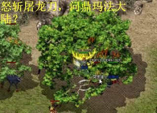怒斩屠龙刀，问鼎玛法大陆？