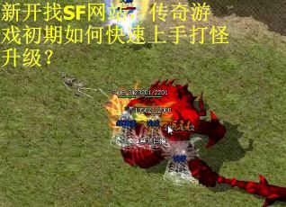 新开找SF网站，传奇游戏初期如何快速上手打怪升级？