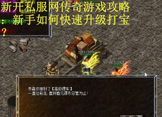 新开私服网传奇游戏攻略：新手如何快速升级打宝？