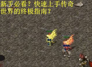 新手必看？快速上手传奇世界的终极指南？