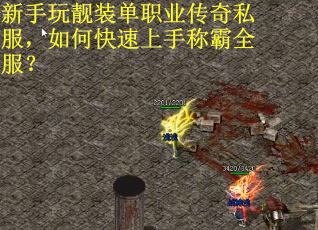 新手玩靓装单职业传奇私服，如何快速上手称霸全服？