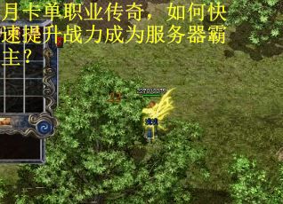 月卡单职业传奇，如何快速提升战力成为服务器霸主？